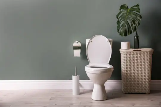 toilet services