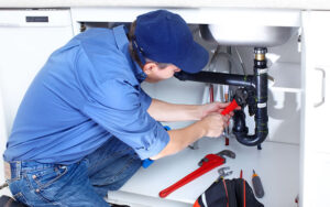 sewer line rooter service